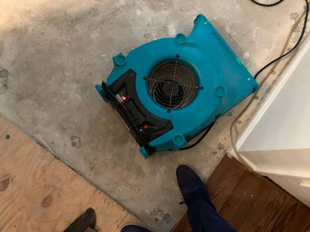 Air mover drying subfloor during Leak Detection & Repair in New Haven